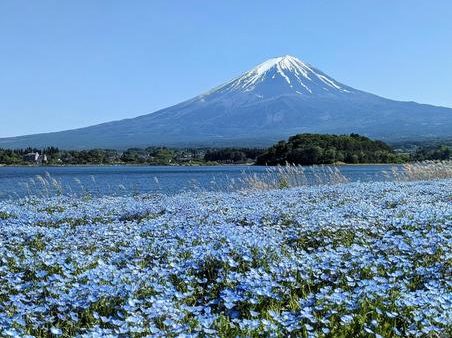 山梨県のおすすめドライブルート：【富士五湖エリア】湖と富士山を巡る絶景ドライブコース
