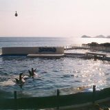 千葉県のおすすめドライブルート：房総半島を巡る海岸線ドライブ