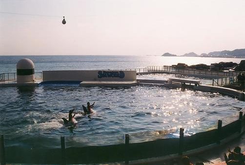 千葉県のおすすめドライブルート：房総半島を巡る海岸線ドライブ