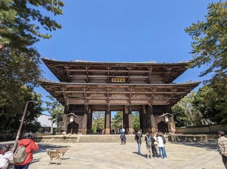 奈良県のおすすめドライブルート：【大台ヶ原エリア】自然と秘境を巡るコース