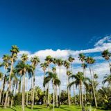 宮崎県高千穂峡・日南海岸エリア：自然と歴史を巡る絶景ドライブコース